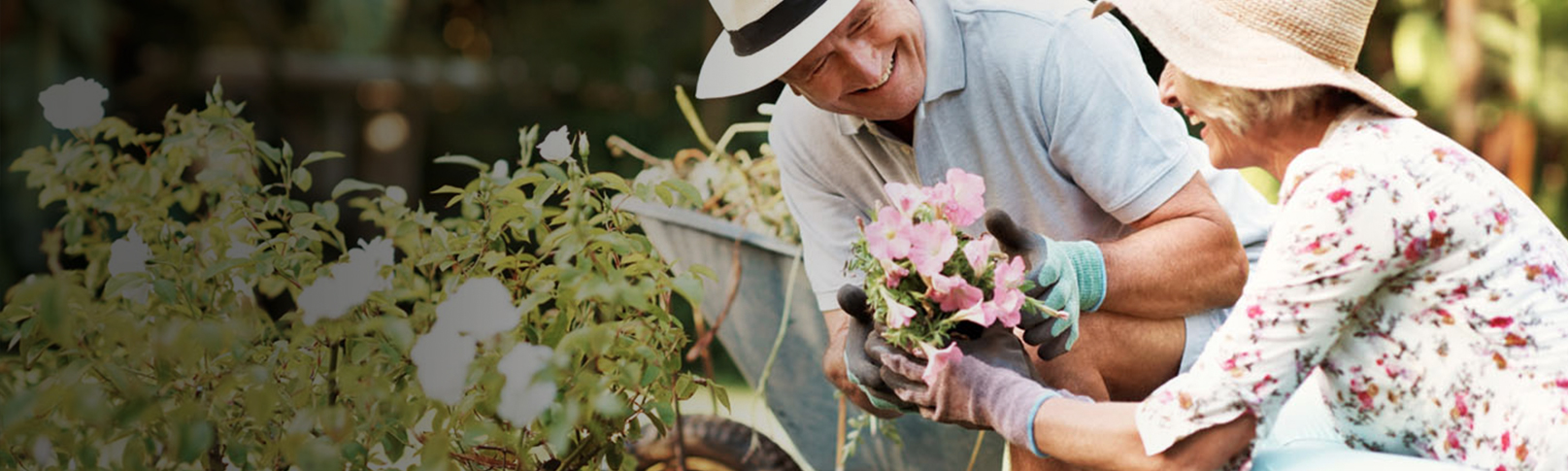 older-couple-in-the-garden